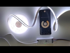 Série de lampes à bande LED certifiées RoHS en longueur de 6,5 pieds avec couleur blanche chaude