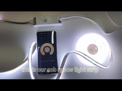 Lumière de bande d'ÉPI